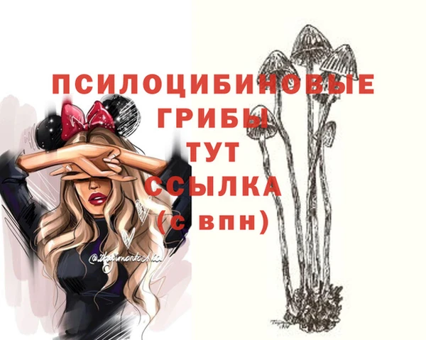 амф Алексин